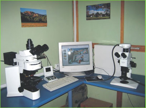 Lab LM_1